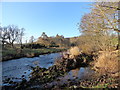 Banks of the River Derwent