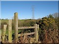 Stile with gorse and pylon