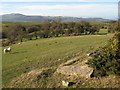 Above Nant Geneth