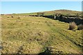 Access land near Corgelly Farm