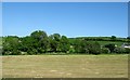 Harvested hay field in Brootally TD