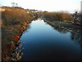 Forth and Clyde Canal, Westerton