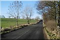 Road near Connel Park