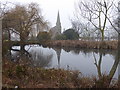 Pond on Woodford Green