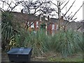 Small garden on Exeter Road, Brondesbury