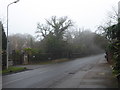A misty Manor Road