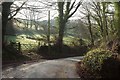 SW9451 : Lane near Coombe by Derek Harper
