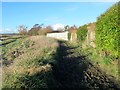 Footpath adjacent to Ferring Rife