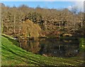 Ornamental lake at Combeland