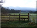 Footpath off Skipton Road (A65)