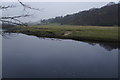 The River Wharfe above Low Mill Village