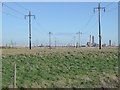NZ5022 : Electricity transmission lines at RSPB Saltholme by Oliver Dixon