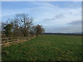 Grazing east of Newall Carr Road