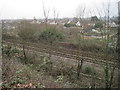 Allotments at Llandaff