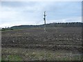 Recently ploughed field, Hall Park