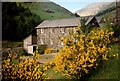 Helvellyn Youth Hostel - Glenridding