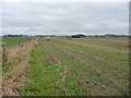 SE4748 : Unmapped field boundary, south of Waller House Farm by Christine Johnstone