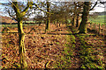 Public Bridleway north of Brakes Farm