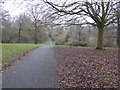 Maryon Wilson Park in winter