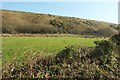 China Clay spoil heap near Seaview Terrace