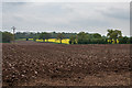 Ploughed field