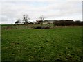 Back  toward  Coneygarth  Hill  Farm