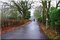 SP0775 : Wilmore Lane & the North Worcestershire Path, near Wythall, Worcs by P L Chadwick