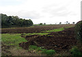 Field north of Gibson