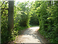 Path, Hornchurch Country Park