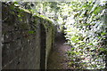 Tandridge Border Path