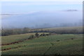 ST4101 : Wessex Ridgeway descending the Flanks of Pilsdon Pen by Chris Heaton