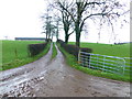 Muddy lane, Fernaghandrum