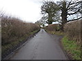 Lane to Caynton, by Caynton Gorse