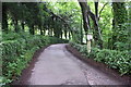 Chapel Hill passing nurseries on left hand side of road