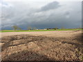 Farmland NE of Edgmond Marsh