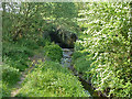 Drain, Hornchurch Country Park