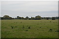 TL2672 : Godmanchester Eastside Common by N Chadwick