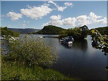 NS3691 : Loch Lomond at Aldochlay by Richard Webb