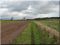 Footpath to Chetwynd