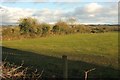 Field and boundary by Moor Lane