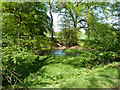 Pond near Cox Green Road