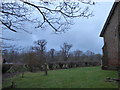 St Margaret, Ockley: churchyard (h)