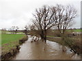 River Axe at Broom Bridge