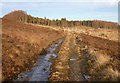 NH4636 : Track to the edge of Boblainy Forest by Craig Wallace