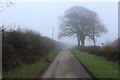SY5699 : Higher Drove by Lancombe Farm by Chris Heaton