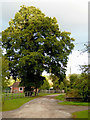 Driveway and path near Willeymoor Lock, Cheshire