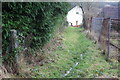 Footpath on Ebbw Valley Walk, Newbridge