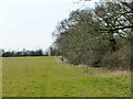 Footpath north of Chigwell Row