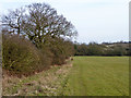 Footpath north of Chigwell Row