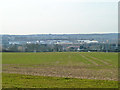 View over Roding valley